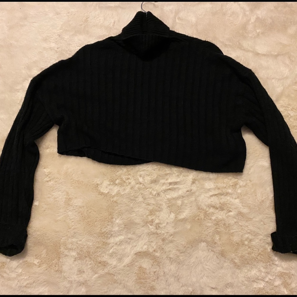 cropped long sleeve turtleneck